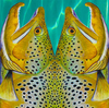 Sawyer MXS Artisan Fish Oar Shaft w/Wrap, Stop and Counterbalance